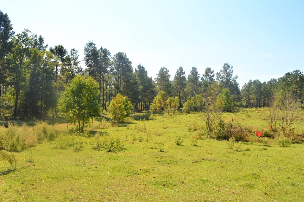 ... Chester Reeves Road McComb, MS 39648 - Photo 3 of 17 Photo 3