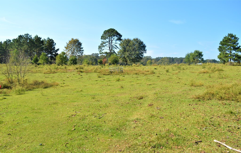 ... Chester Reeves Road McComb, MS 39648 - Photo 4 of 17 Photo 4