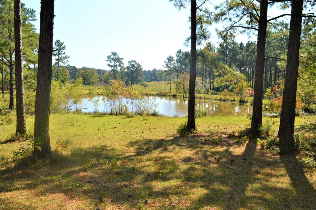 ... Chester Reeves Road McComb, MS 39648 - Photo 9 of 17 Photo 9