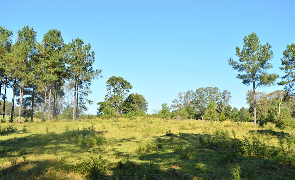 ... Chester Reeves Road McComb, MS 39648 - Photo 10 of 17 Photo 10