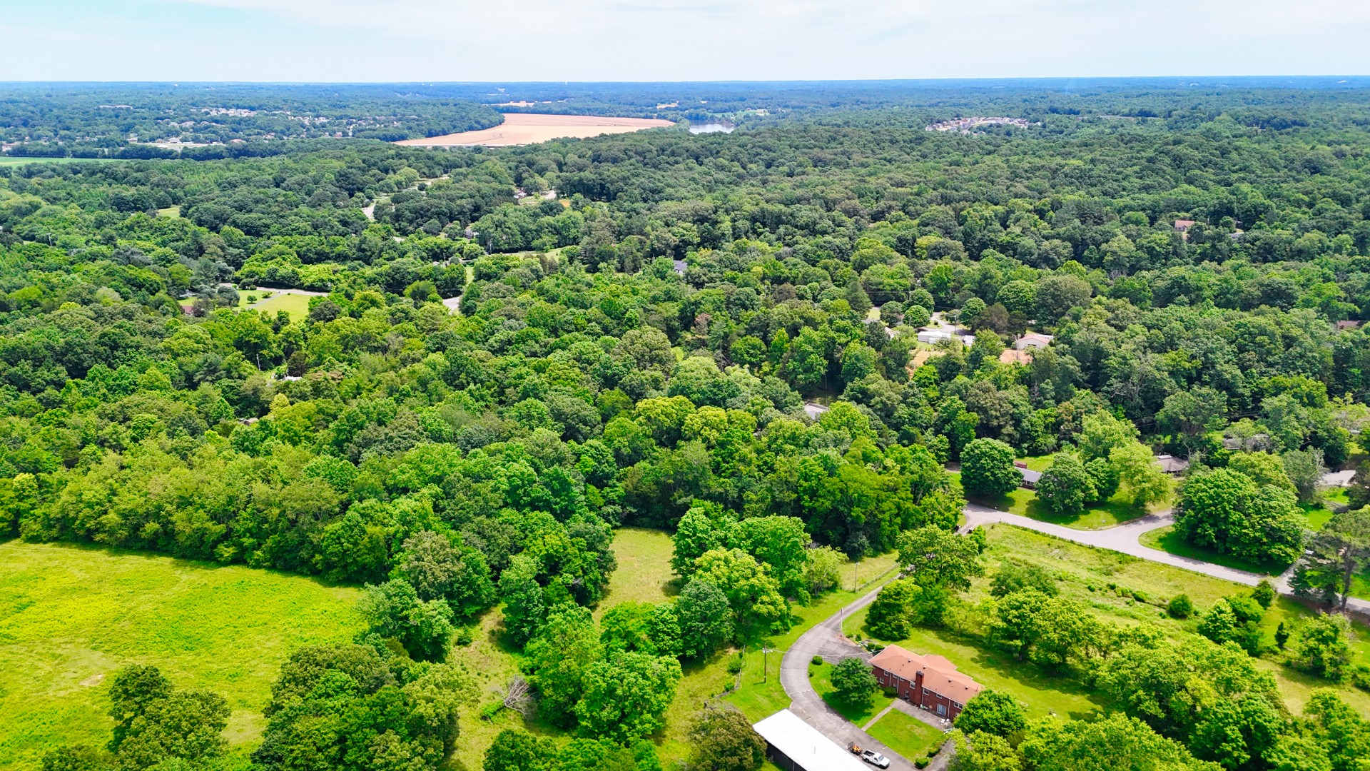 1 Dean Road Clarksville, TN 37040 - Photo 10 of 12 a view of a lush green forest with trees and some houses