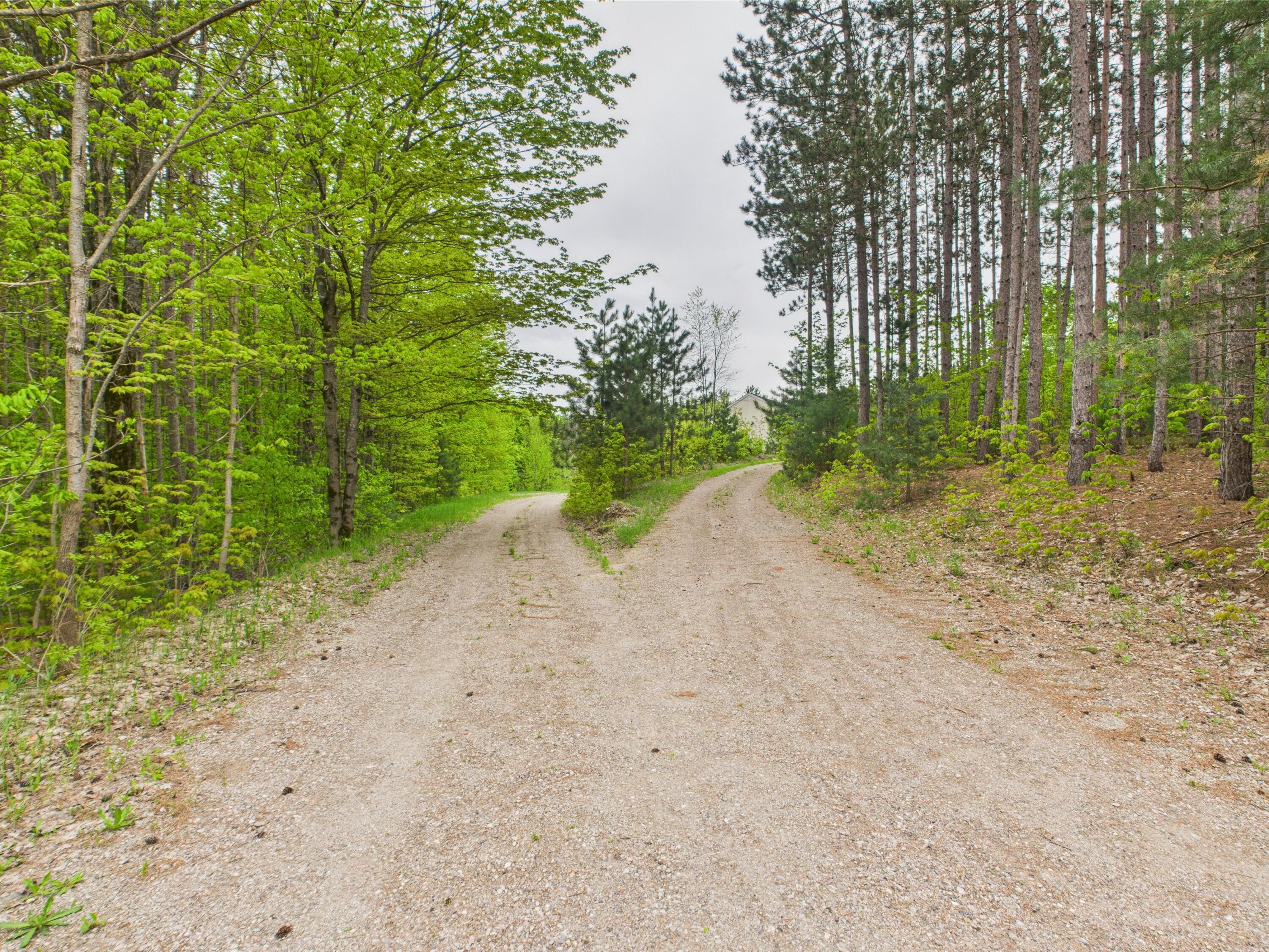 730 Cool Road Southeast Kalkaska, MI 49646 - Photo 7 of 19 Gallery Image 7