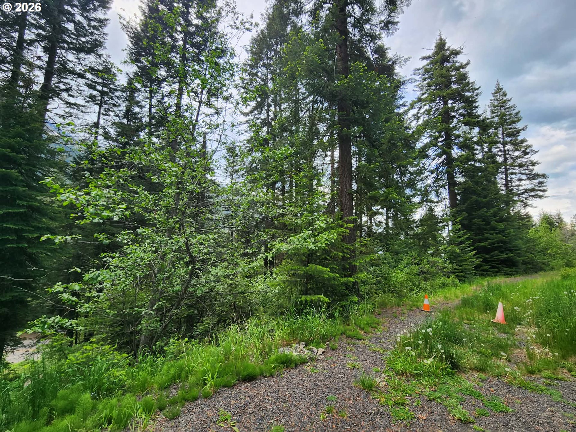 0 Forest Dell Road Joseph, OR 97846 - Photo 18 of 18