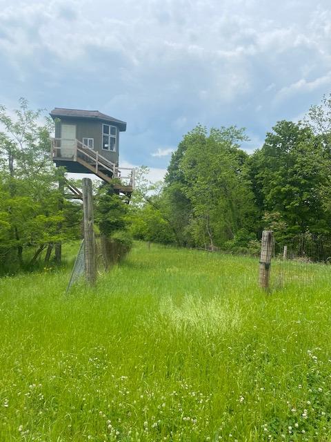 0 Bunger Road Rising Sun, IN 47040 - Photo 3 of 31