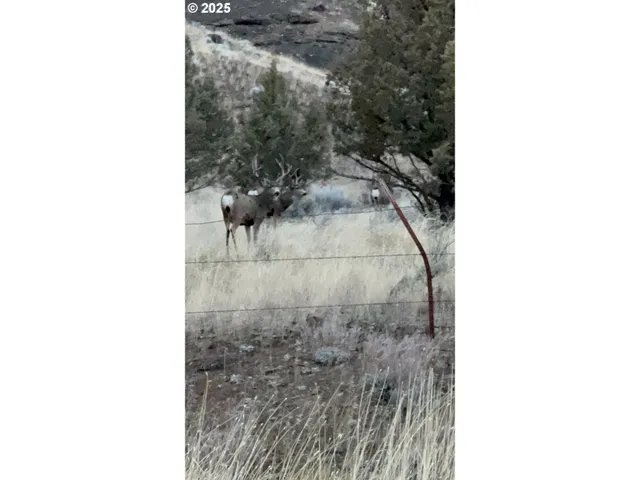 $925,000 | 43697 Highway 402, Kimberly, OR 97848