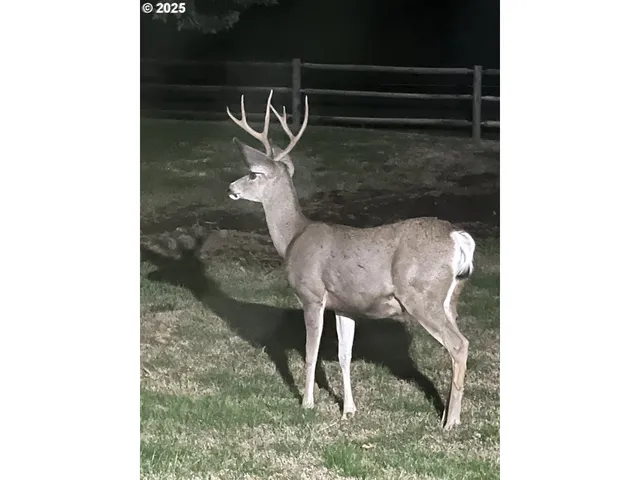 $925,000 | 43697 Highway 402, Kimberly, OR 97848