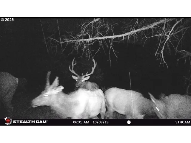 $925,000 | 43697 Highway 402, Kimberly, OR 97848