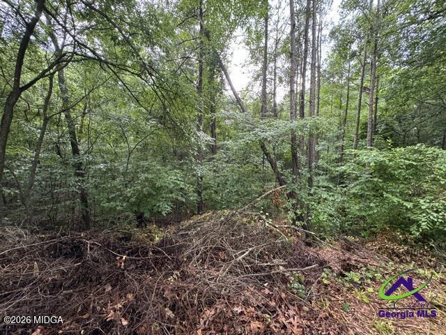 176 Waters Pointe Lizella, GA 31052 - Photo 1 of 13 wp