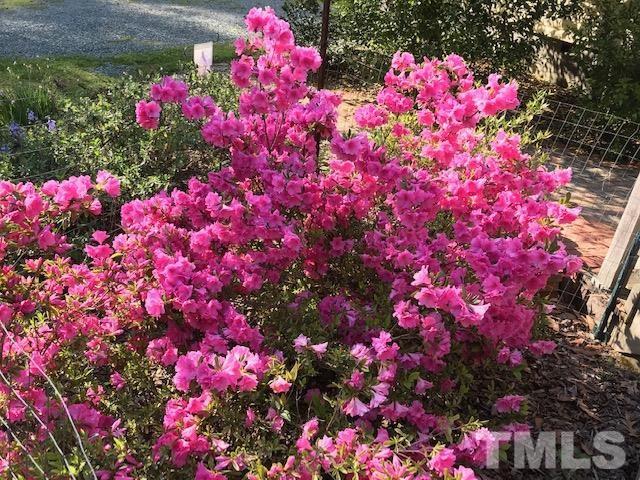 96 Silverberry Road Pittsboro, NC 27312 - Photo 28 of 30 Gallery Image 28