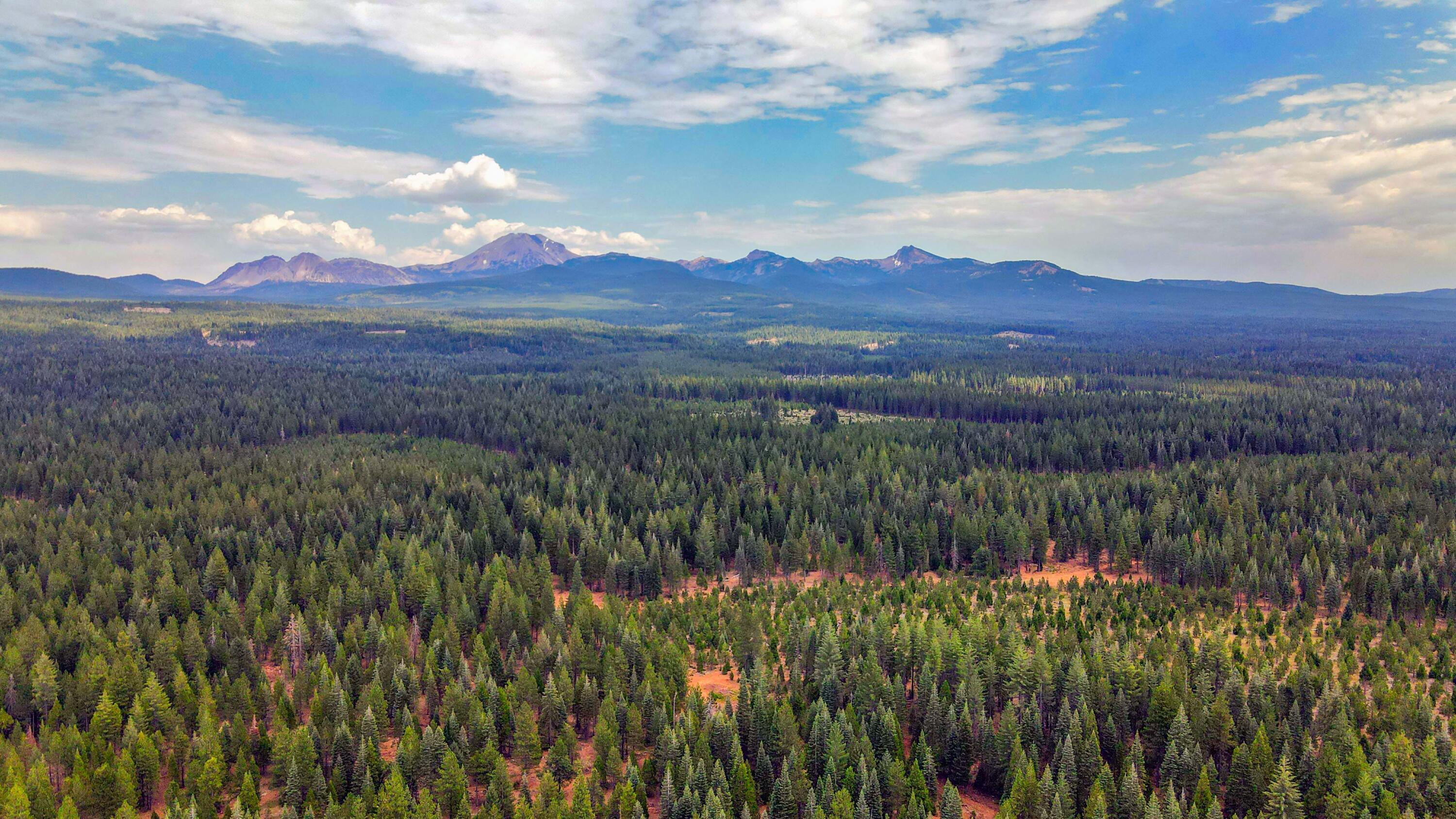 8278 Starlite Pines Road Shingletown, CA 96088 - Photo 3 of 20 Mount Lassen
