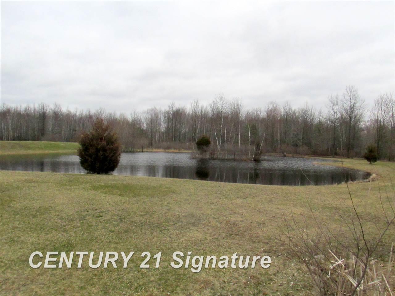 2385 South Fordney Road Hemlock, MI 48626 - Photo 13 of 14