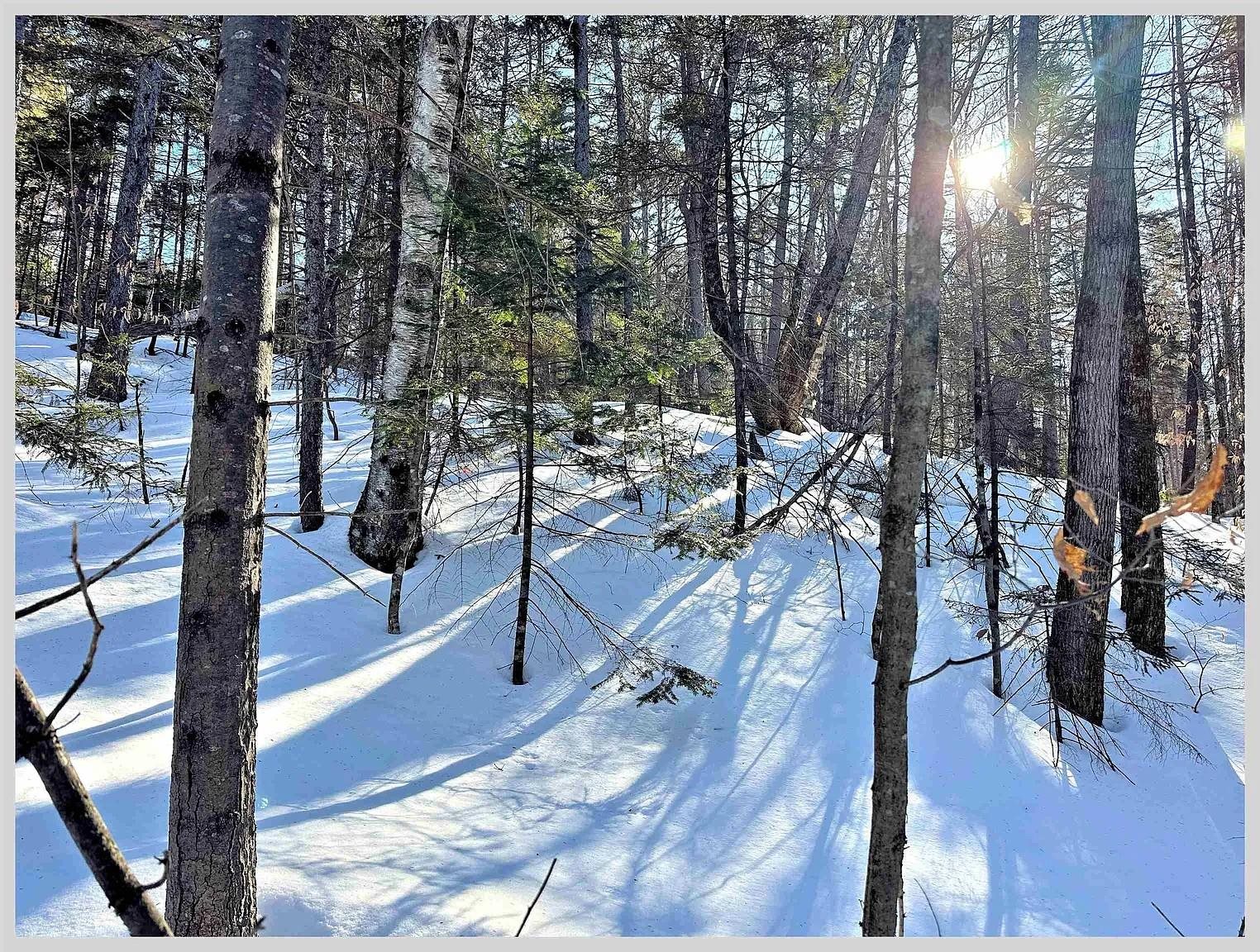 10 Issax Fox Road, Unit D10 SECTION 10 Campton, NH 03223 - Photo 2 of 6