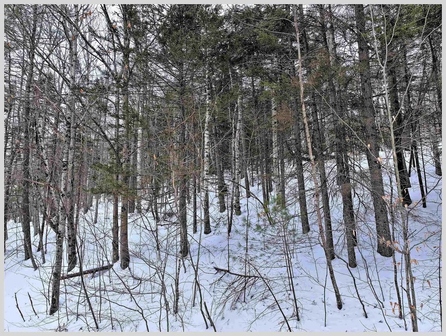 10 Issax Fox Road, Unit D10 SECTION 10 Campton, NH 03223 - Photo 4 of 6