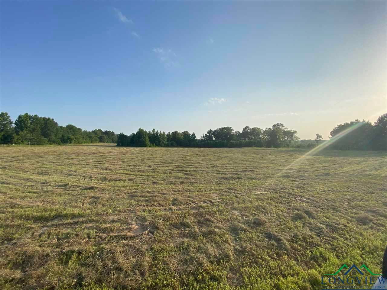 Road-batton Fields Road Harleton, TX 75651 - Photo 1 of 1 Gallery Image 1