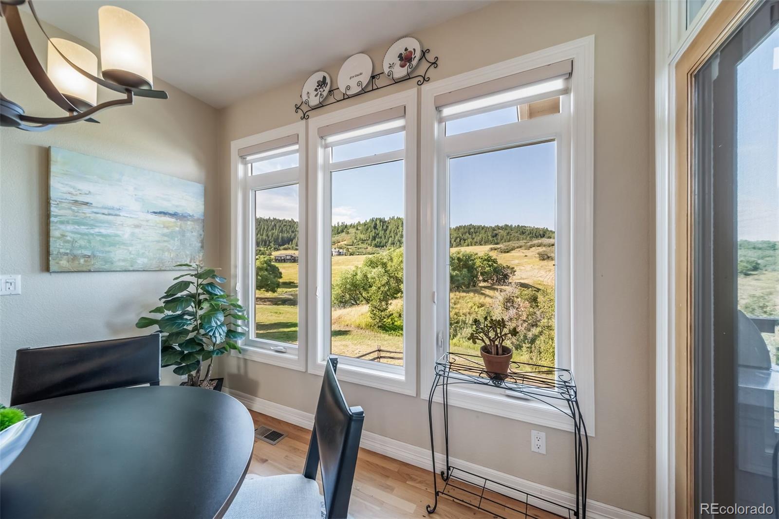 4612 High Spring Road Castle Rock, CO 80104 - Photo 22 of 50 a living room with furniture and a potted plant