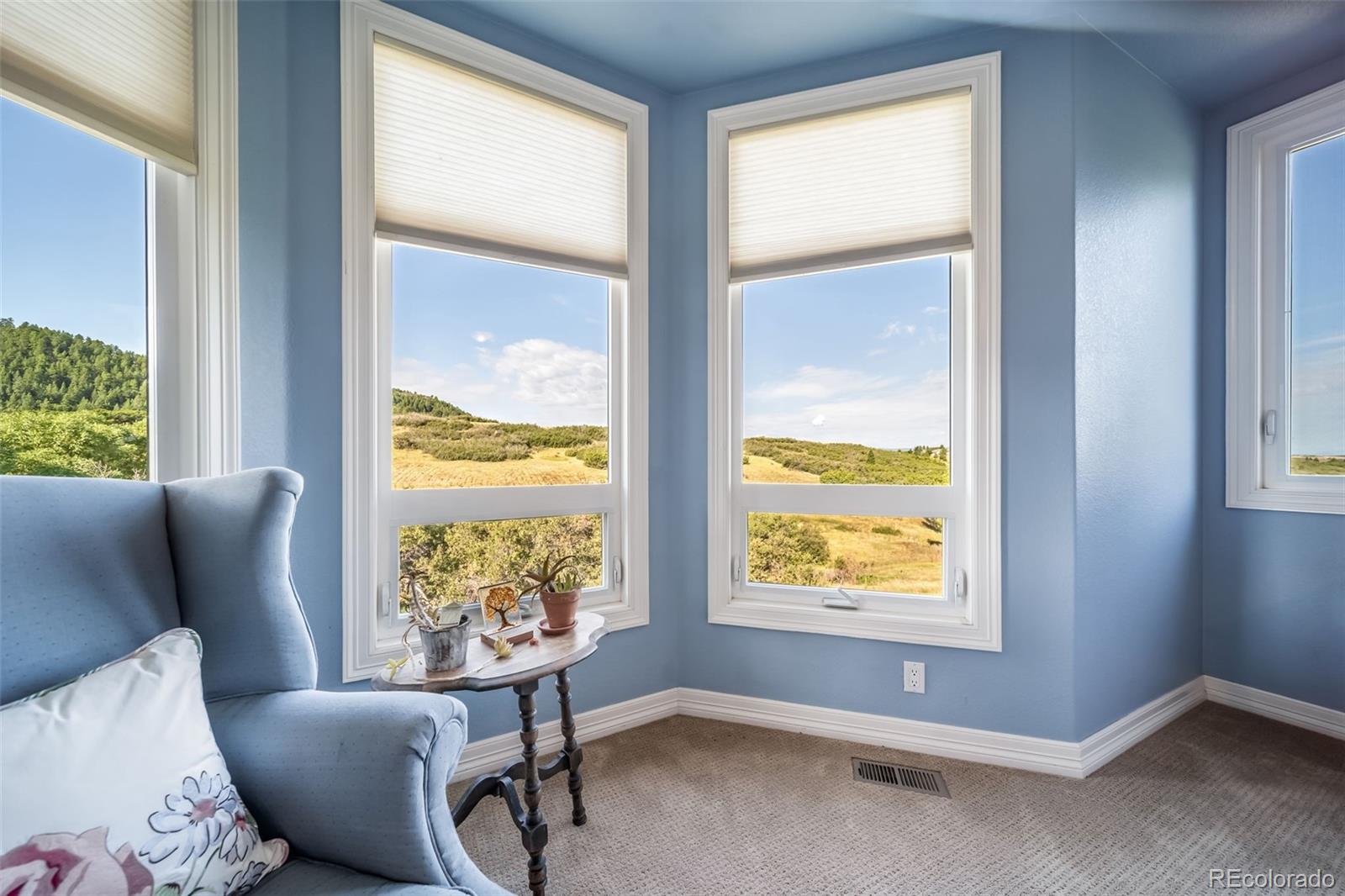 4612 High Spring Road Castle Rock, CO 80104 - Photo 29 of 50 a living room with furniture and a window