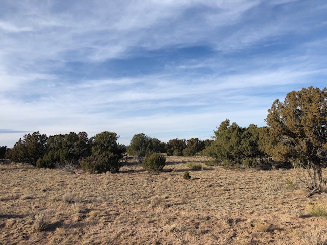 11 Anza Road Corona, NM 88318 - Photo 12 of 19