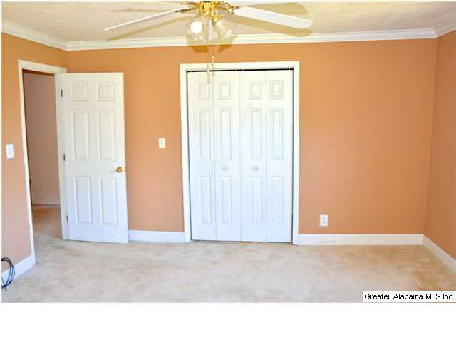 3711 Blue Springs Road Wilsonville, AL 35186 - Photo 13 of 29