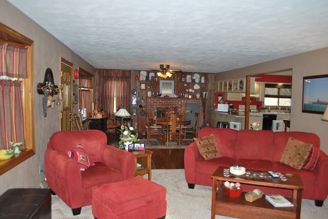 4255 East Flagg Road Ashton, IL 61006 - Photo 4 of 25 a living room with furniture a lamp and a fireplace