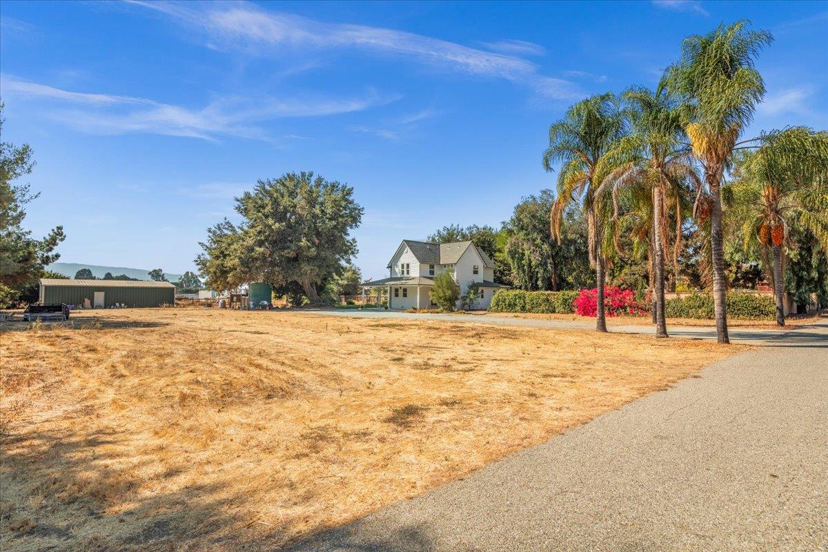 3306 Leavesley Road Gilroy, CA 95020 - Photo 50 of 60 a view of swimming pool with palm trees