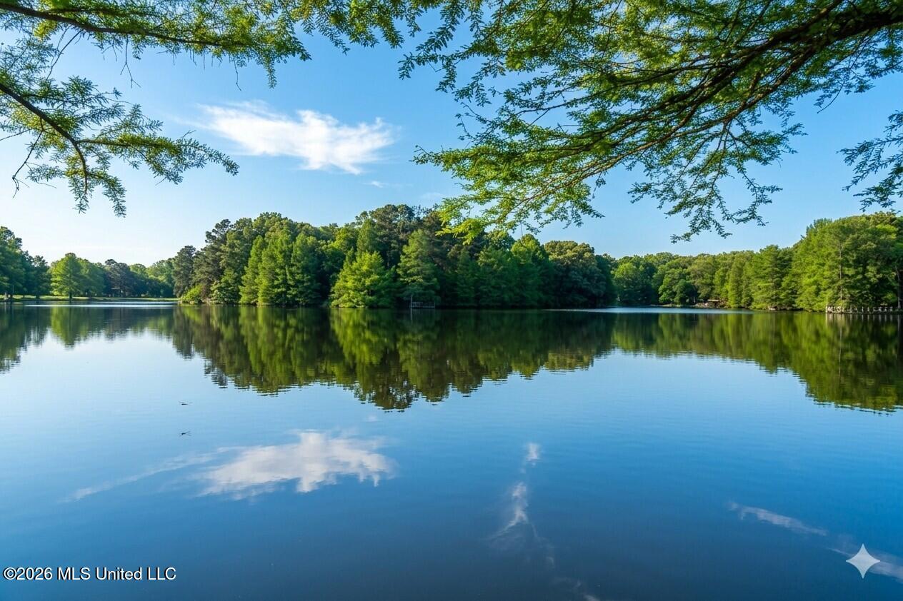 116 Lake Stephens Road Canton, MS 39046 - Photo 16 of 20 Lake