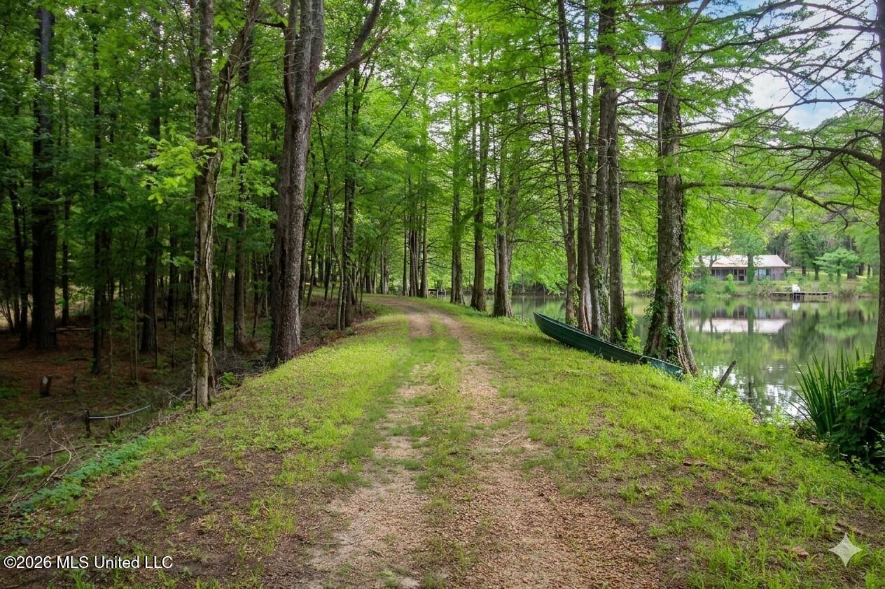 116 Lake Stephens Road Canton, MS 39046 - Photo 17 of 20 LakeLevy