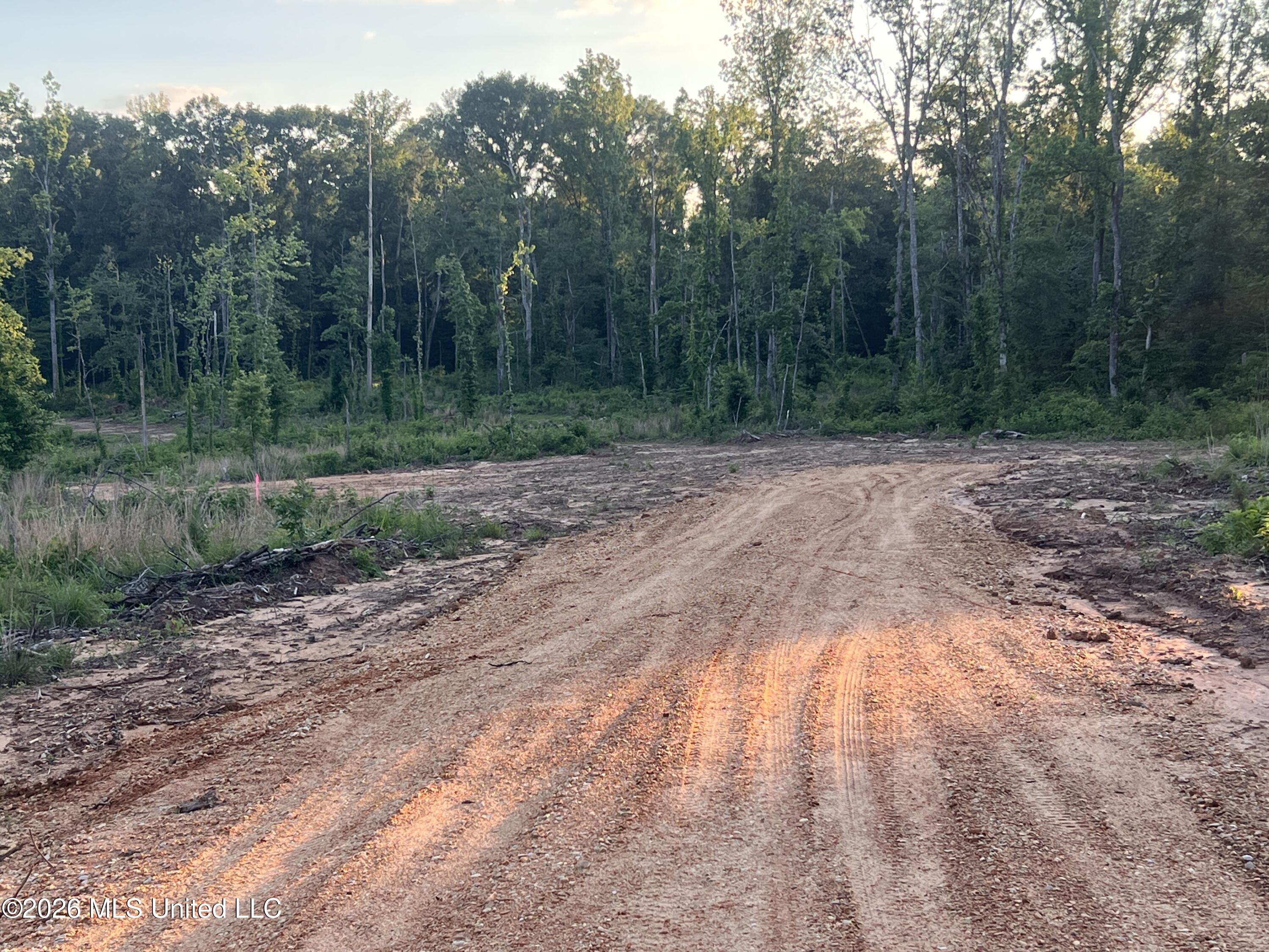 5734 Hebron Road Liberty, MS 39645 - Photo 4 of 32 4.