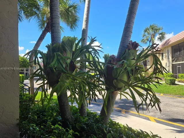 a view of outdoor space and yard