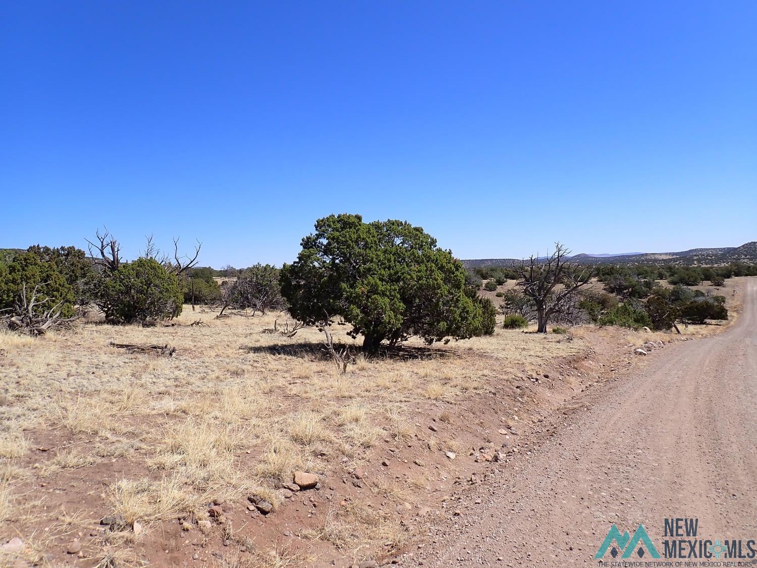 Tanglewood Datil, NM 87821 - Photo 8 of 15 View of dirt / gravel road with a view of countryside
