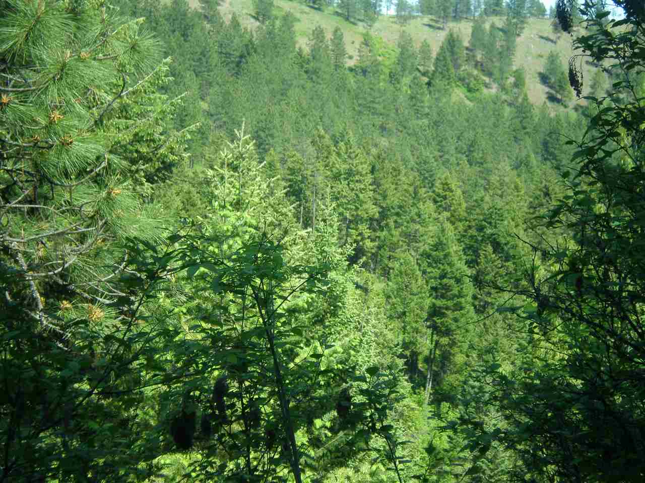 34-x4 Hoag Road Valley, WA 99181 - Photo 3 of 12 Gallery Image 3