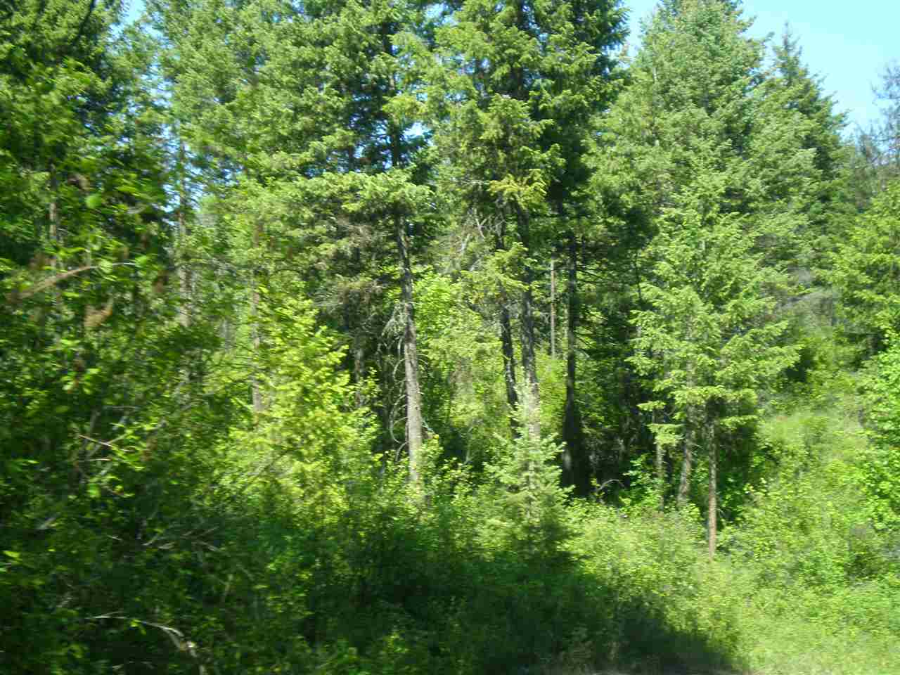 34-x4 Hoag Road Valley, WA 99181 - Photo 4 of 12 Gallery Image 4