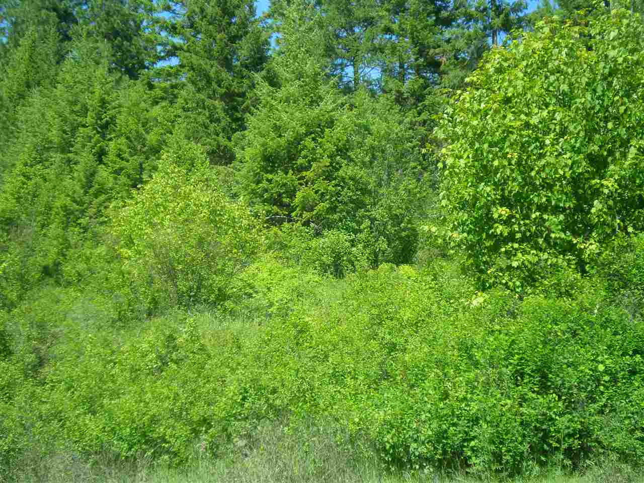 34-x4 Hoag Road Valley, WA 99181 - Photo 6 of 12 Gallery Image 6