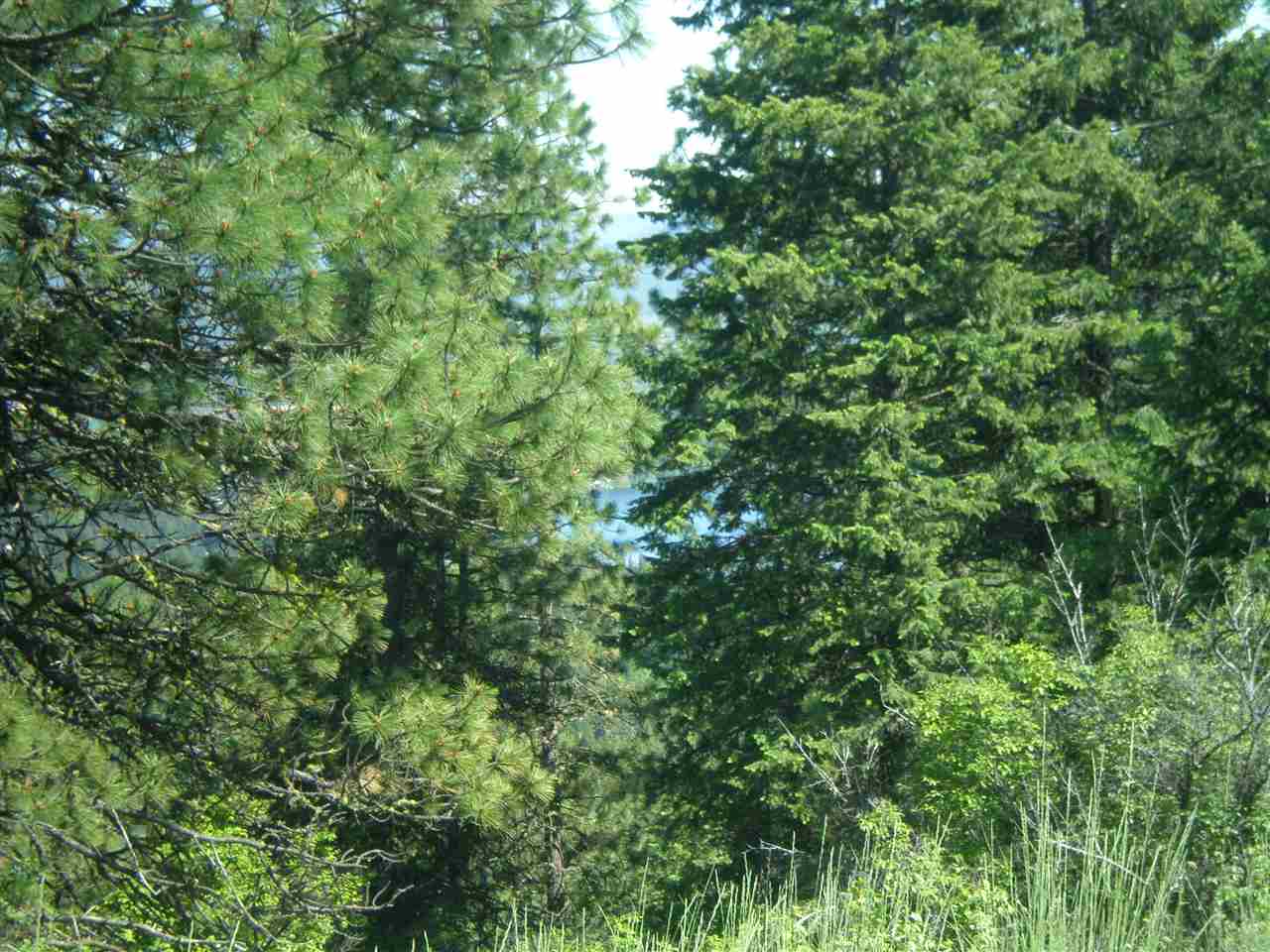34-x4 Hoag Road Valley, WA 99181 - Photo 9 of 12 Gallery Image 9