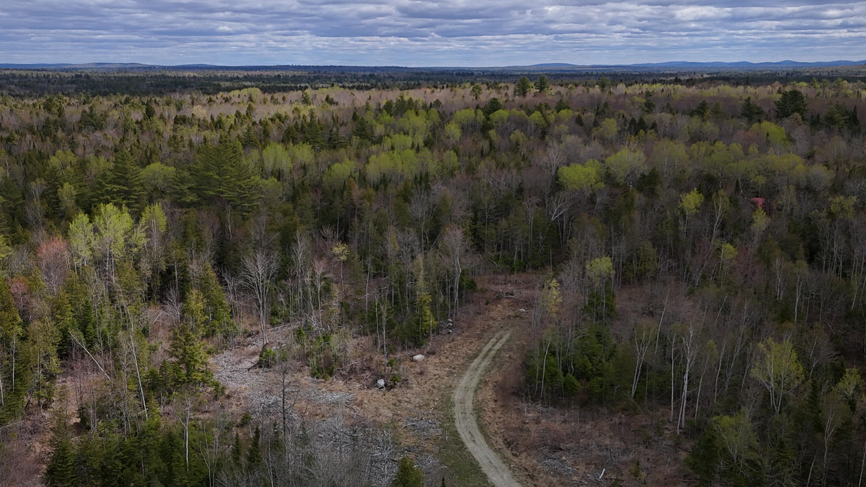 Lot 22 Schoodic Point Road Medford, ME 04463 - Photo 3 of 27 DJI_20260512105027_0297_D