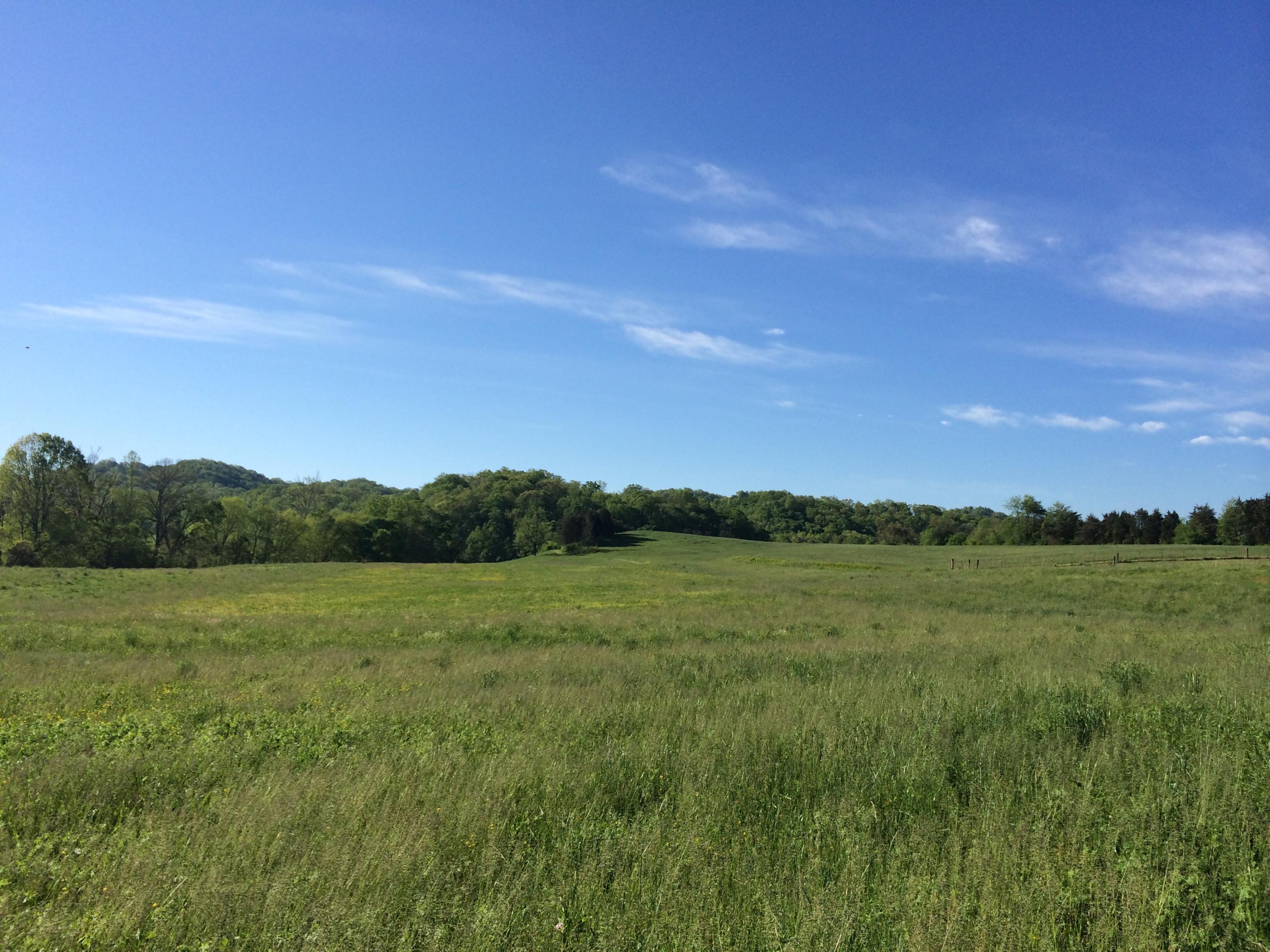 137 Mountain View Road Heiskell, TN 37754 - Photo 11 of 39 image