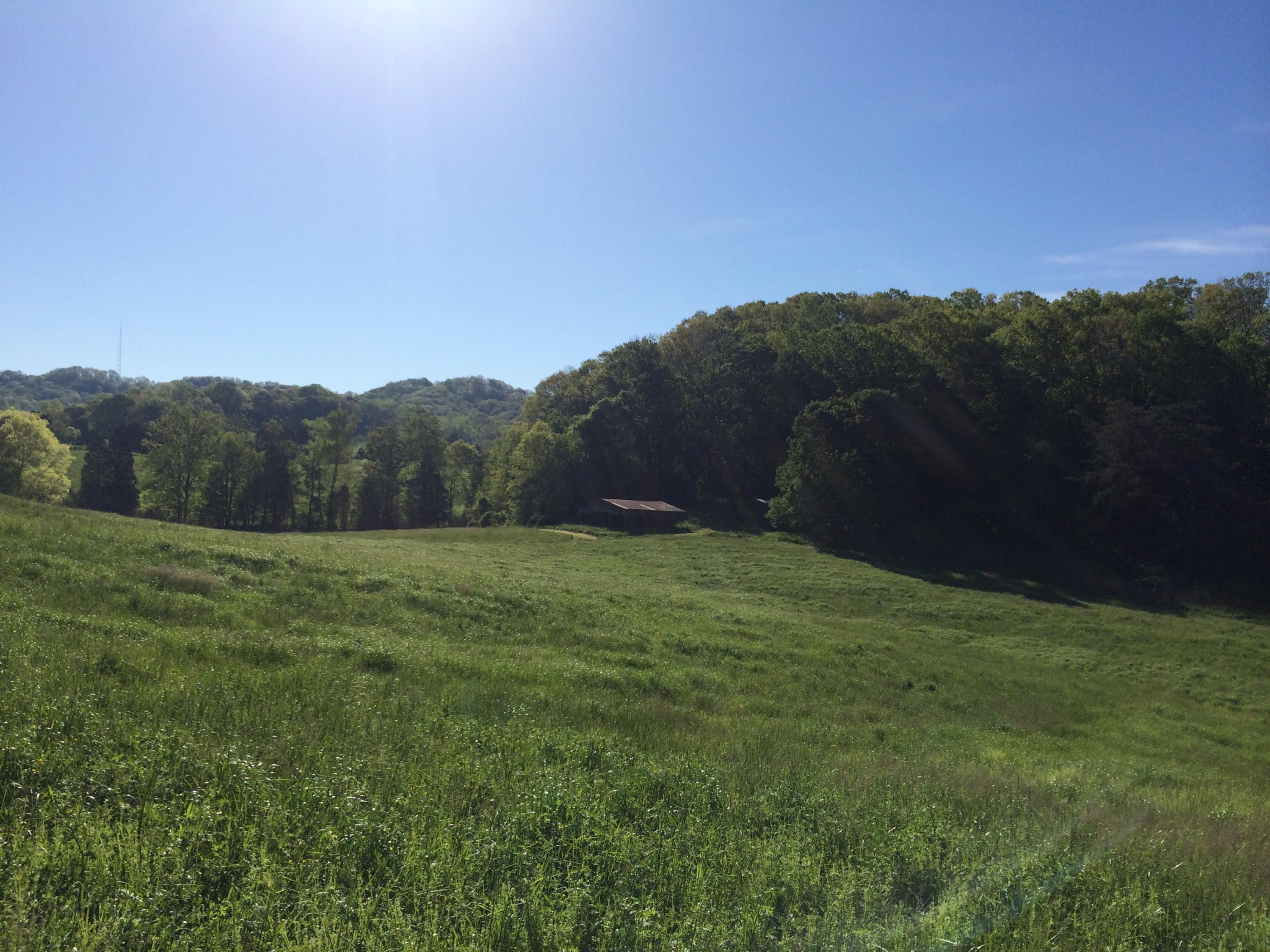 137 Mountain View Road Heiskell, TN 37754 - Photo 12 of 39 image