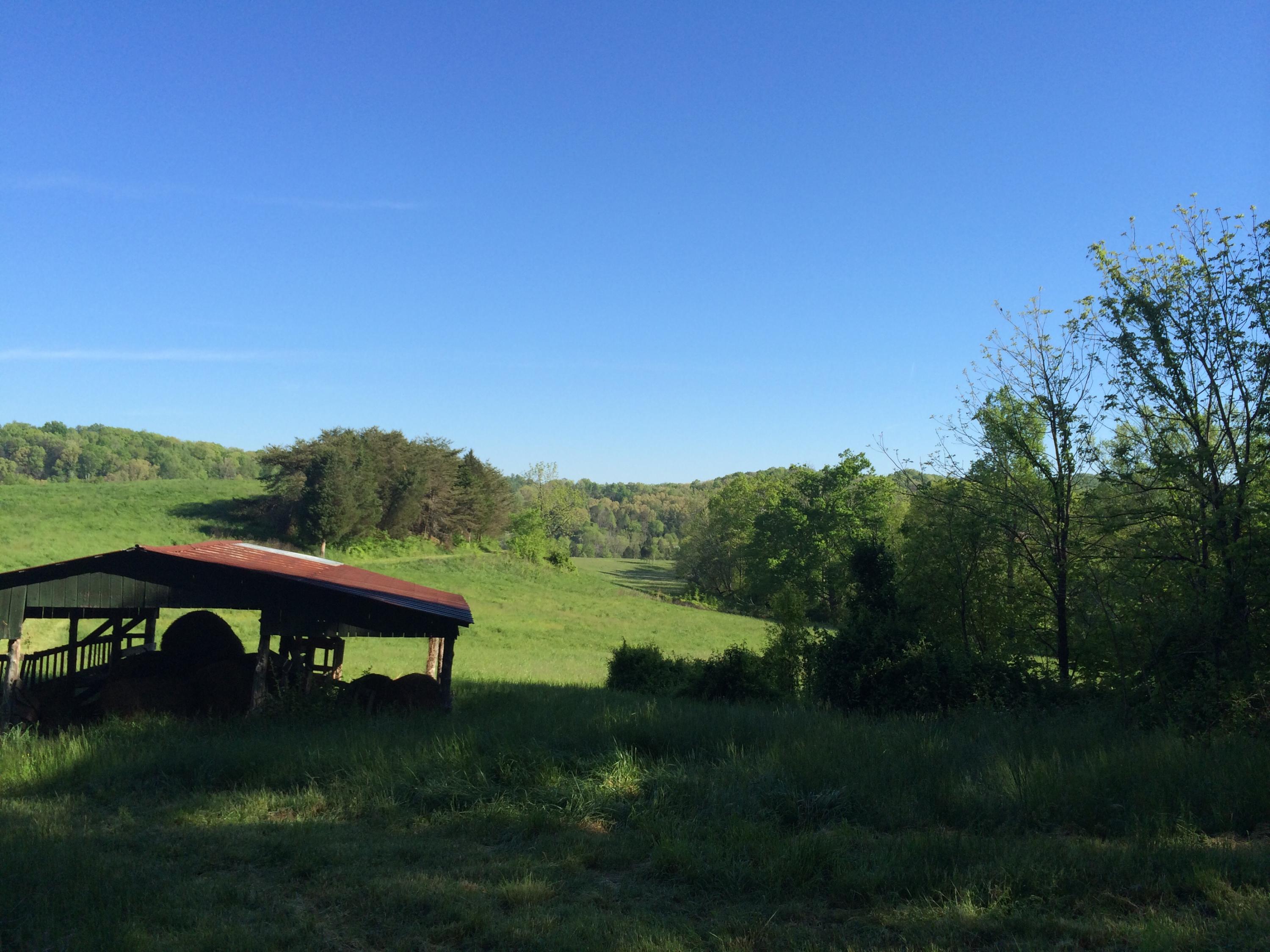 137 Mountain View Road Heiskell, TN 37754 - Photo 13 of 39 image
