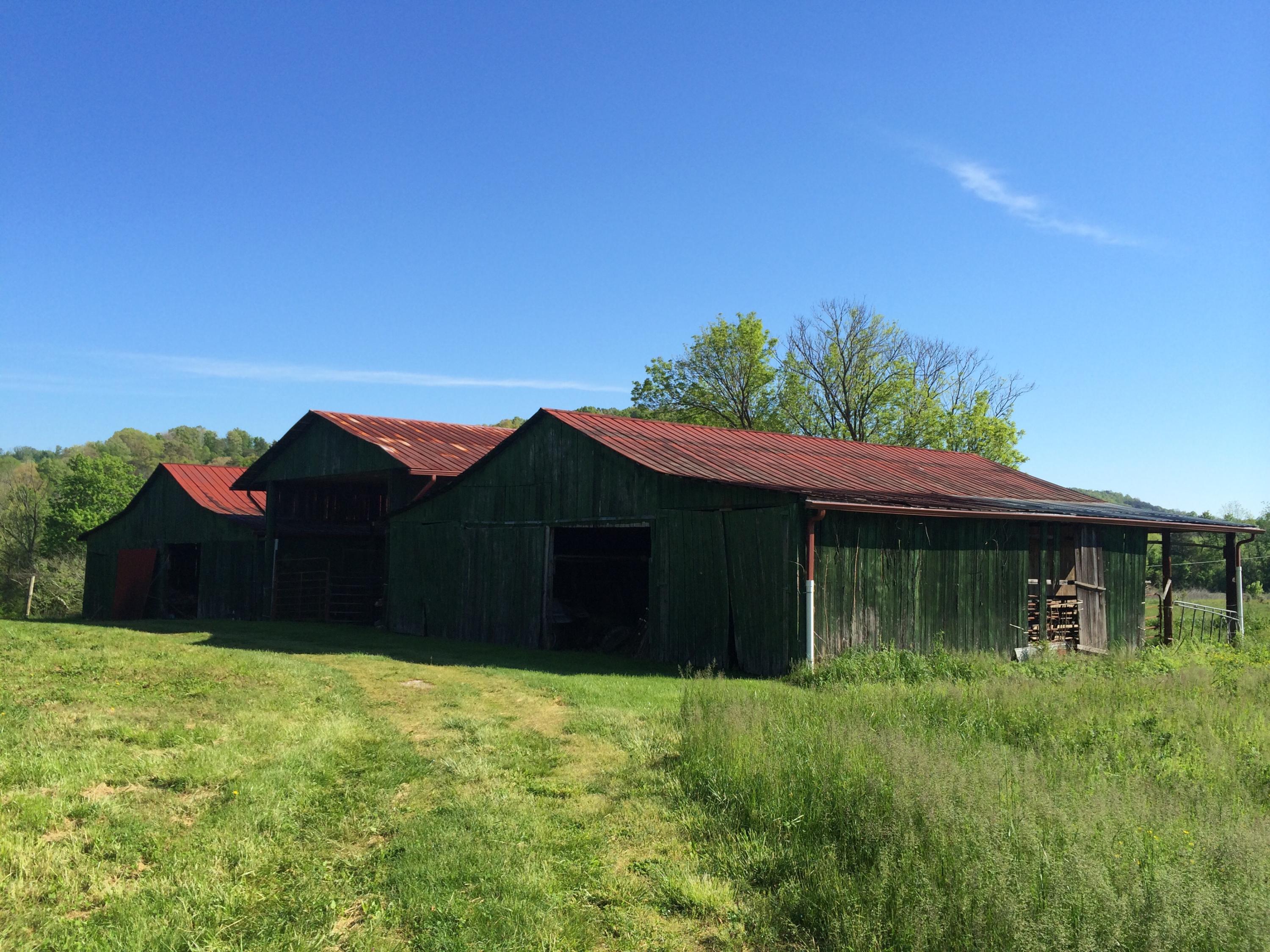 137 Mountain View Road Heiskell, TN 37754 - Photo 15 of 39 image