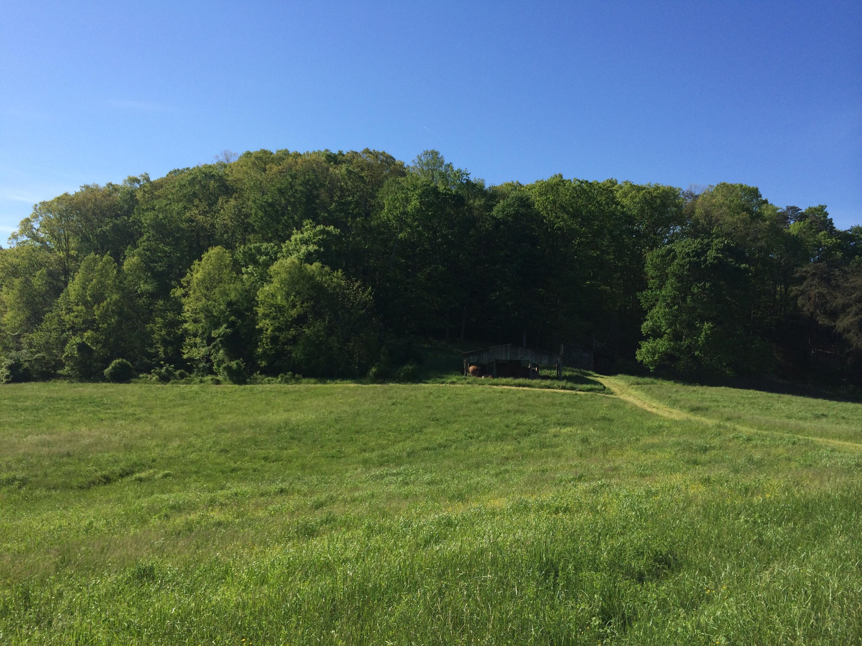 137 Mountain View Road Heiskell, TN 37754 - Photo 16 of 39 image