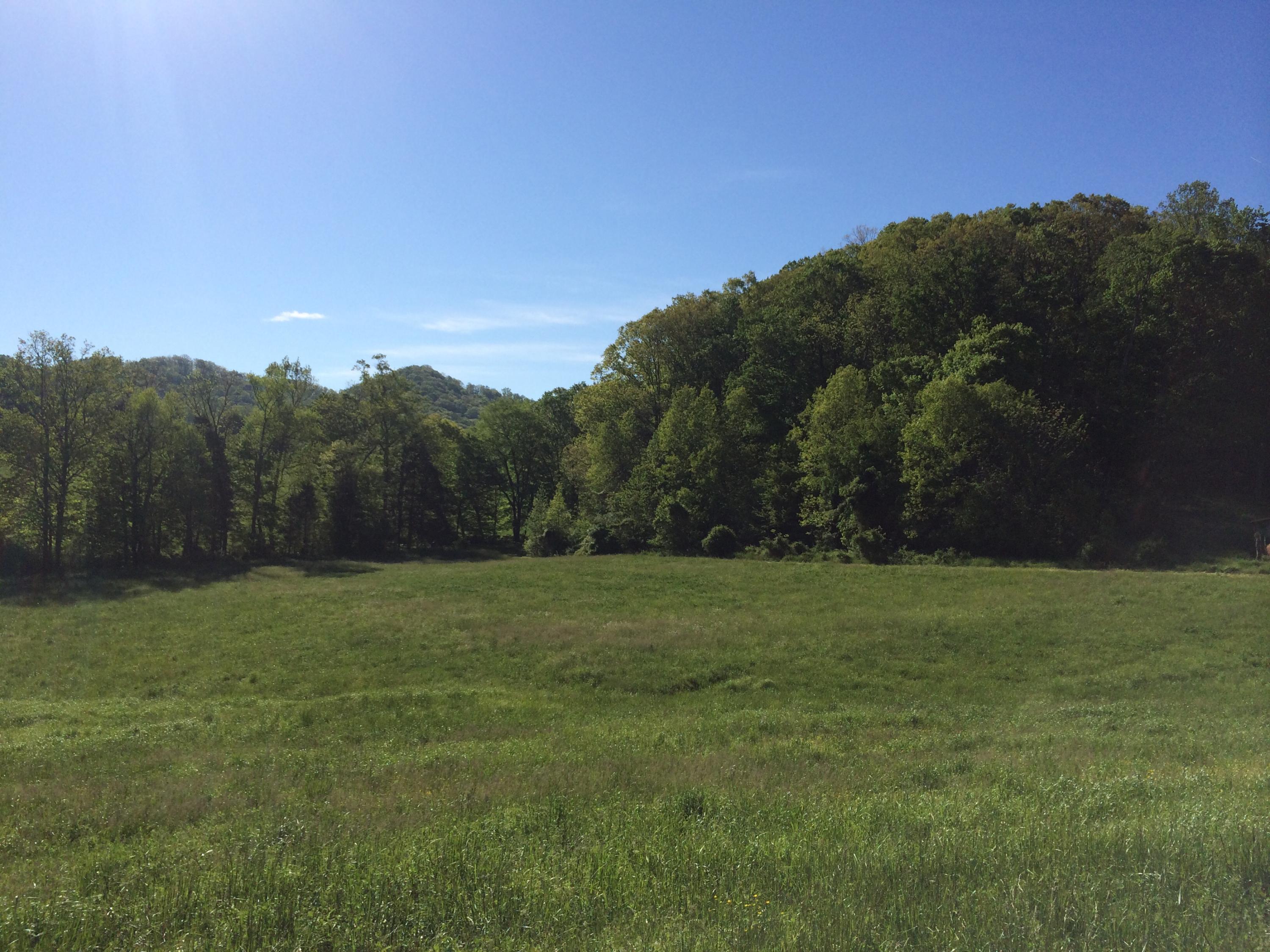 137 Mountain View Road Heiskell, TN 37754 - Photo 17 of 39 image