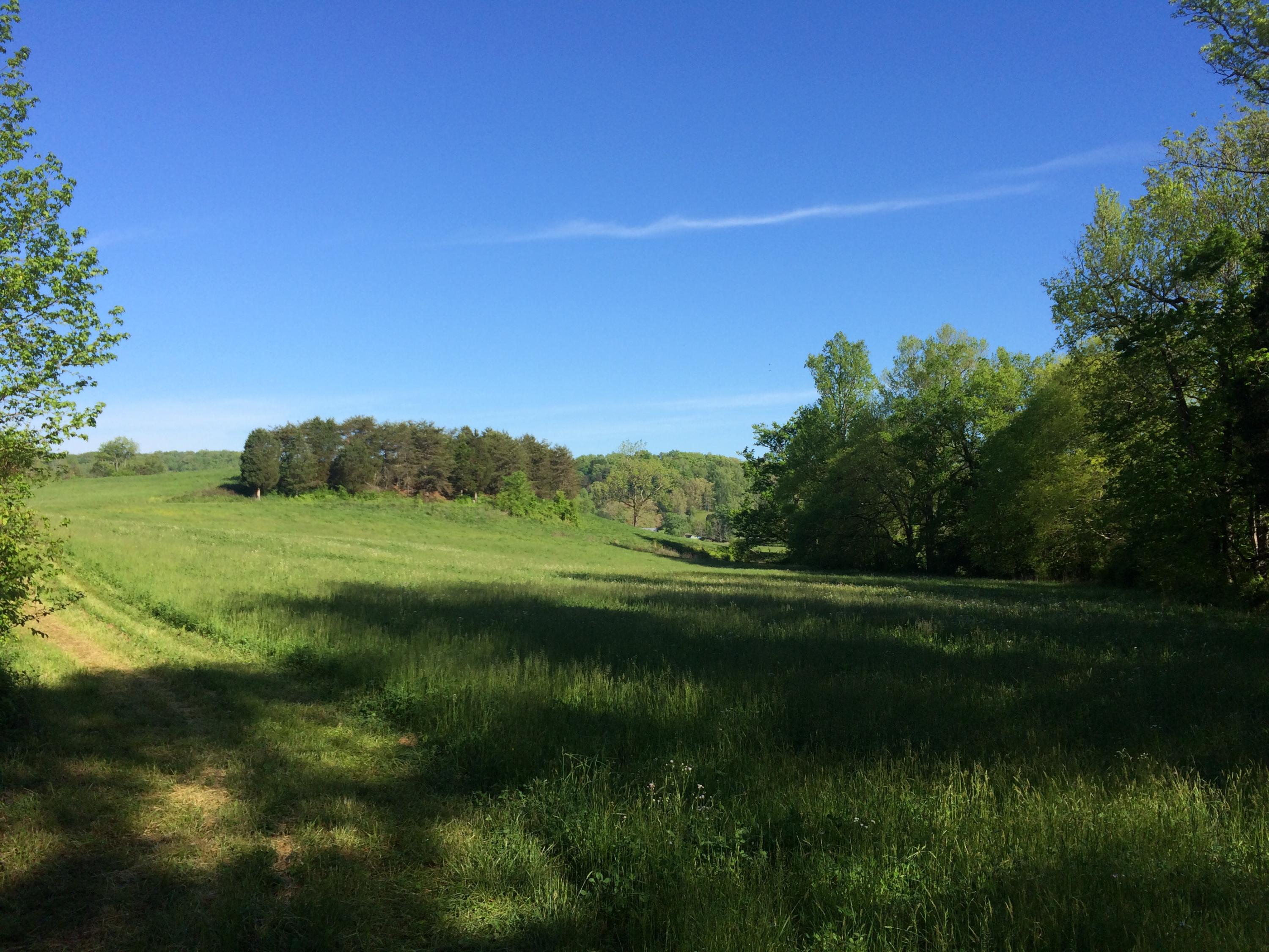 137 Mountain View Road Heiskell, TN 37754 - Photo 18 of 39 image