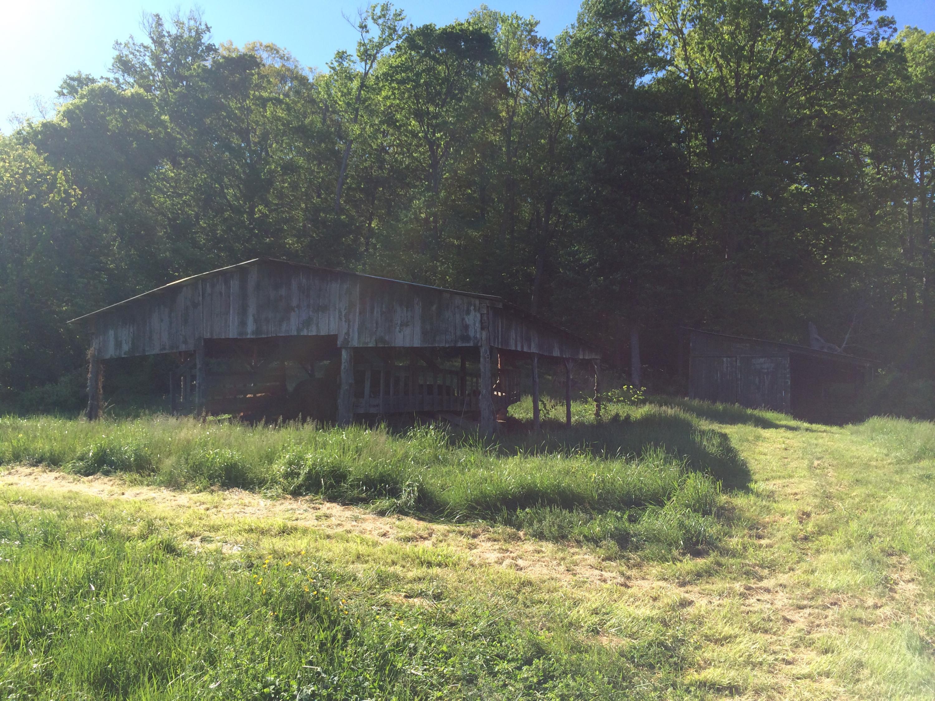 137 Mountain View Road Heiskell, TN 37754 - Photo 19 of 39 image