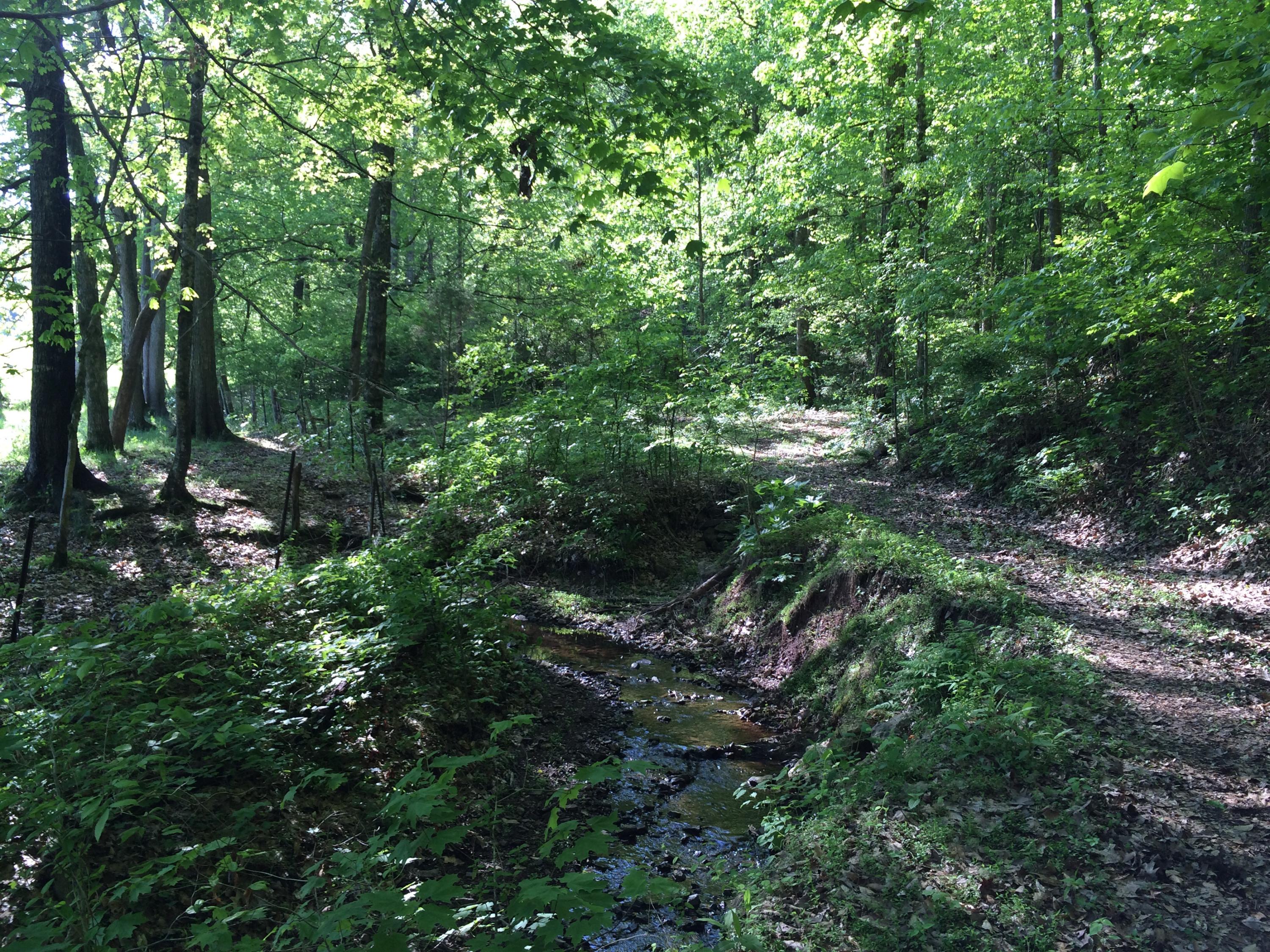 137 Mountain View Road Heiskell, TN 37754 - Photo 21 of 39 image