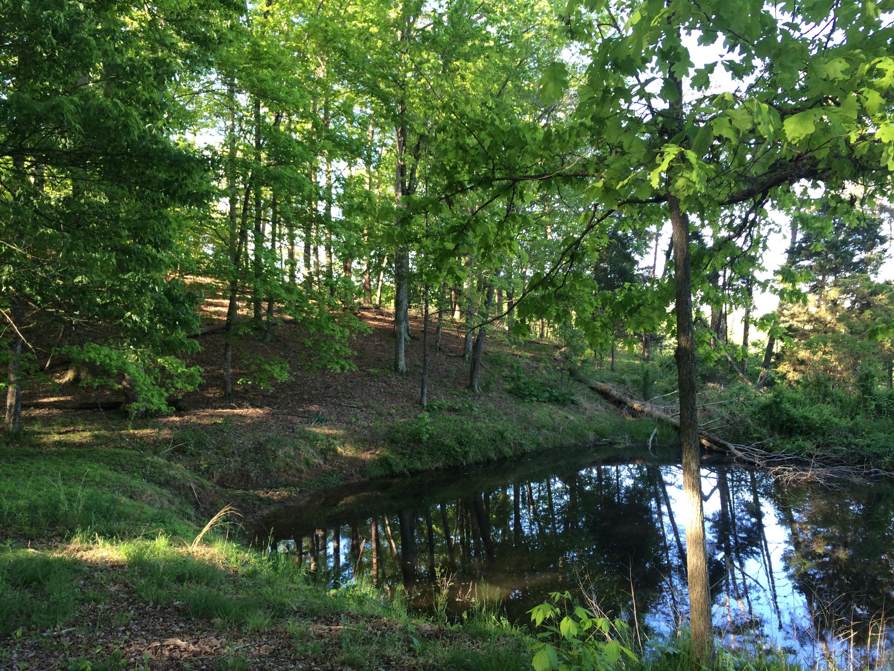 137 Mountain View Road Heiskell, TN 37754 - Photo 24 of 39 image