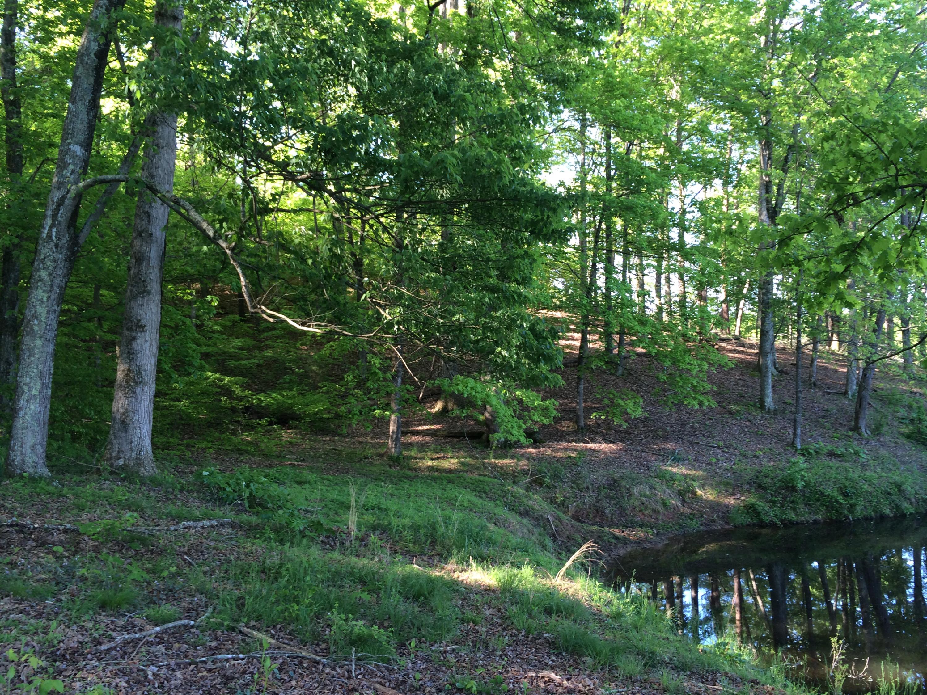 137 Mountain View Road Heiskell, TN 37754 - Photo 25 of 39 image