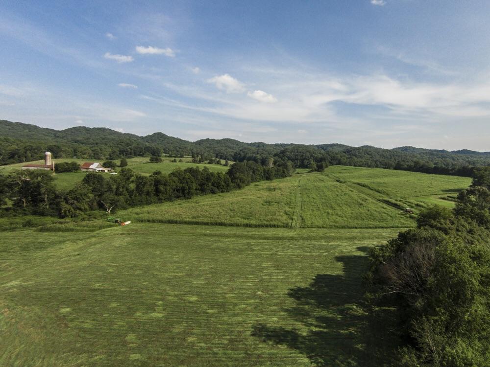 137 Mountain View Road Heiskell, TN 37754 - Photo 28 of 39 image