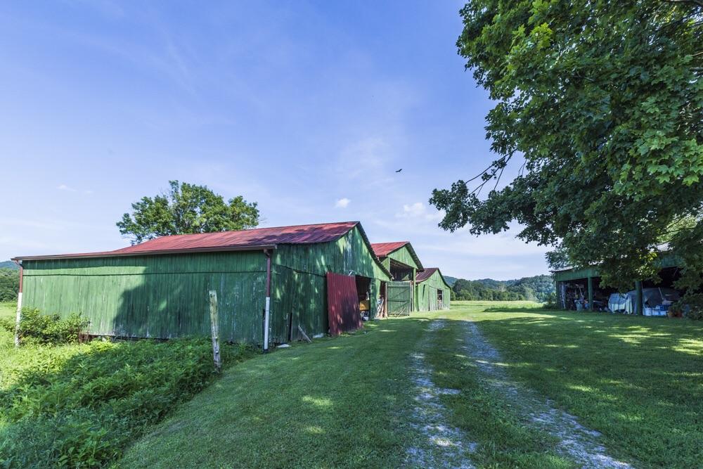 137 Mountain View Road Heiskell, TN 37754 - Photo 6 of 39 image