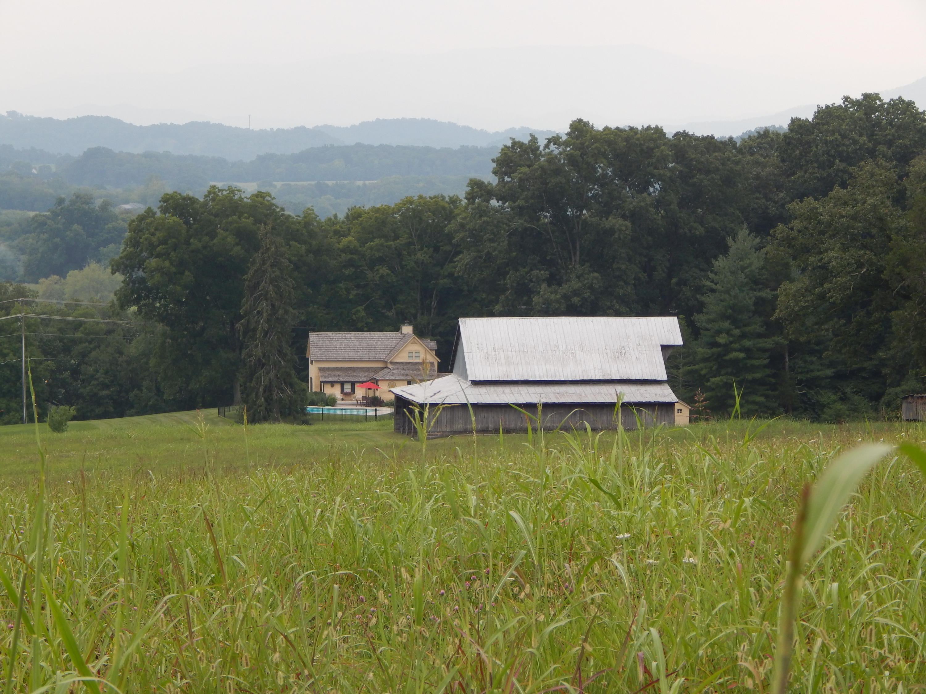 9817 Kodak Road Kodak, TN 37764 - Photo 36 of 37 Sellers - 9817 Kodak Rd Farm photos 8-07