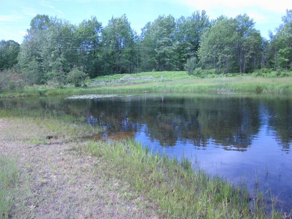 5117 Sunset Trail Road Northeast Kalkaska, MI 49646 - Photo 11 of 35 1829406-10.JPG