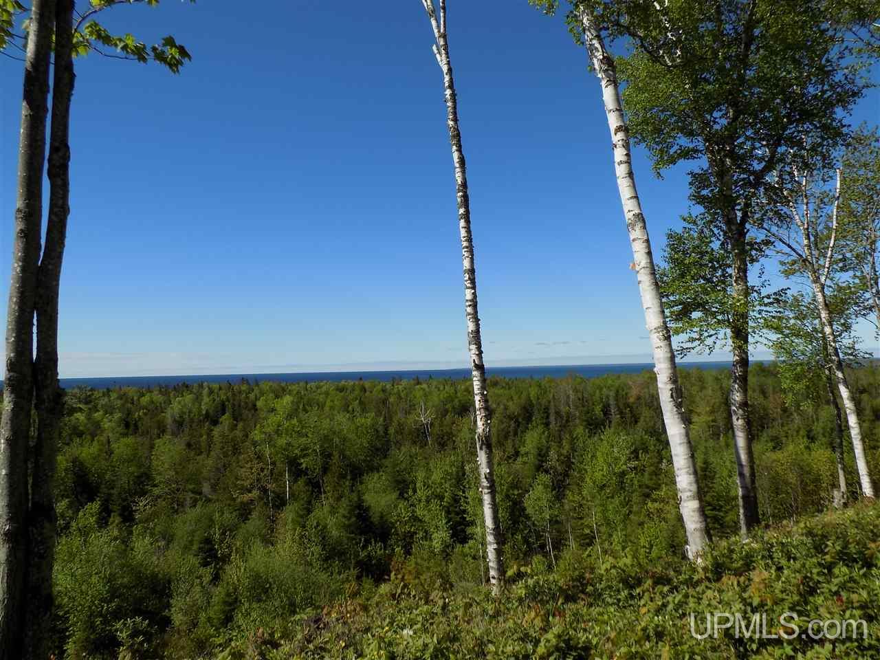 Tbd Northshore Bluffs Road, Unit 4 Manistique, MI 49854 - Photo 13 of 21